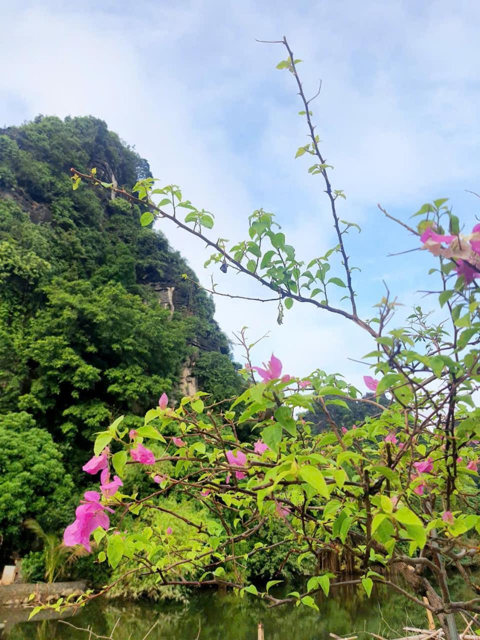 Nguyen Ngoai Trang An Hana Homestay מראה חיצוני תמונה