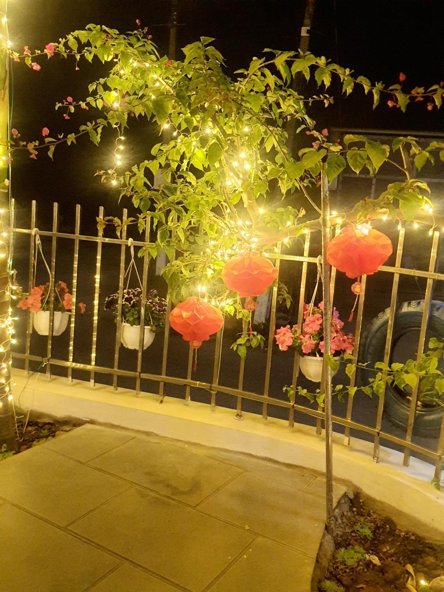 Nguyen Ngoai Trang An Hana Homestay מראה חיצוני תמונה
